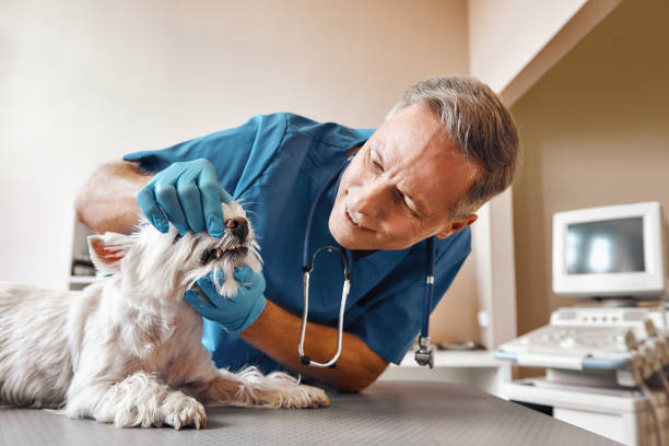 Best Weekend Emergency Dentist in Pomona, NJ